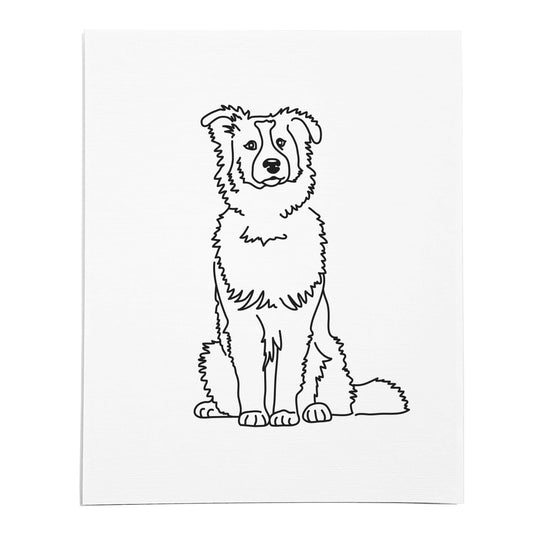 An art print of a line drawing of an Australian Shepherd dog on white linen paper