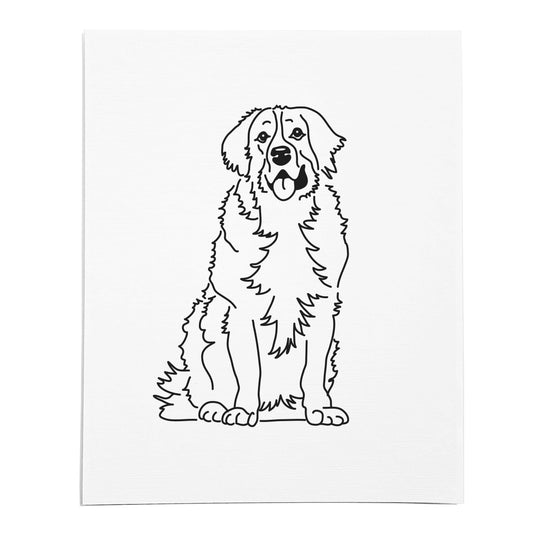 An art print of a line drawing featuring a Bernese Mountain Dog on white linen paper