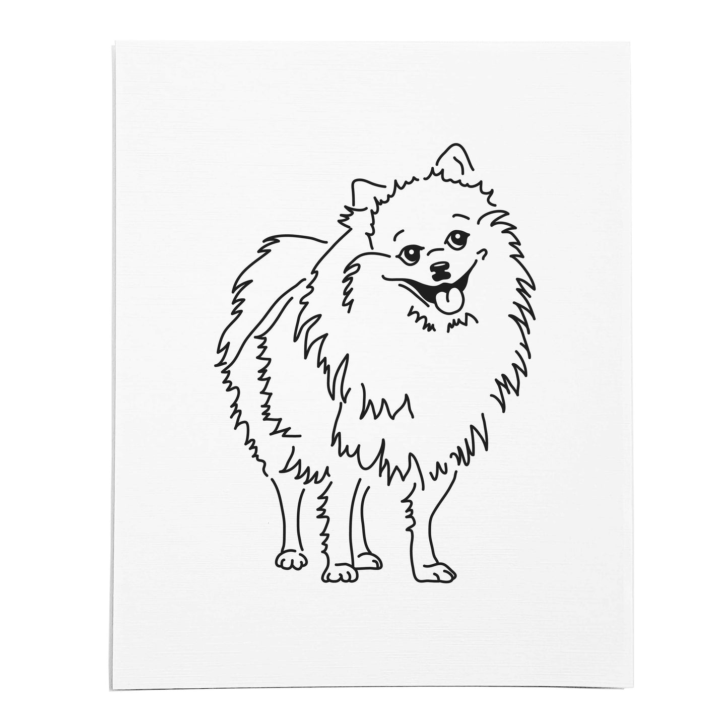 An art print featuring a line drawing of a Pomeranian dog on white linen paper