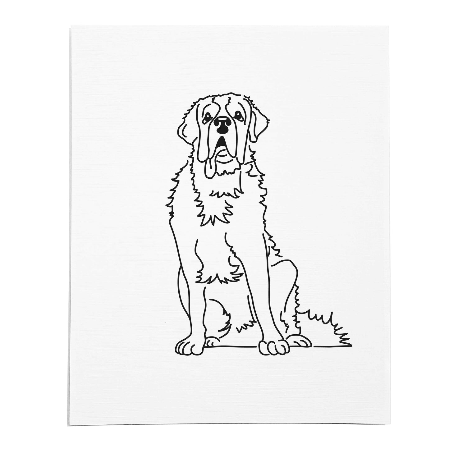 An art print featuring a line drawing of a Saint Bernard dog on white linen paper