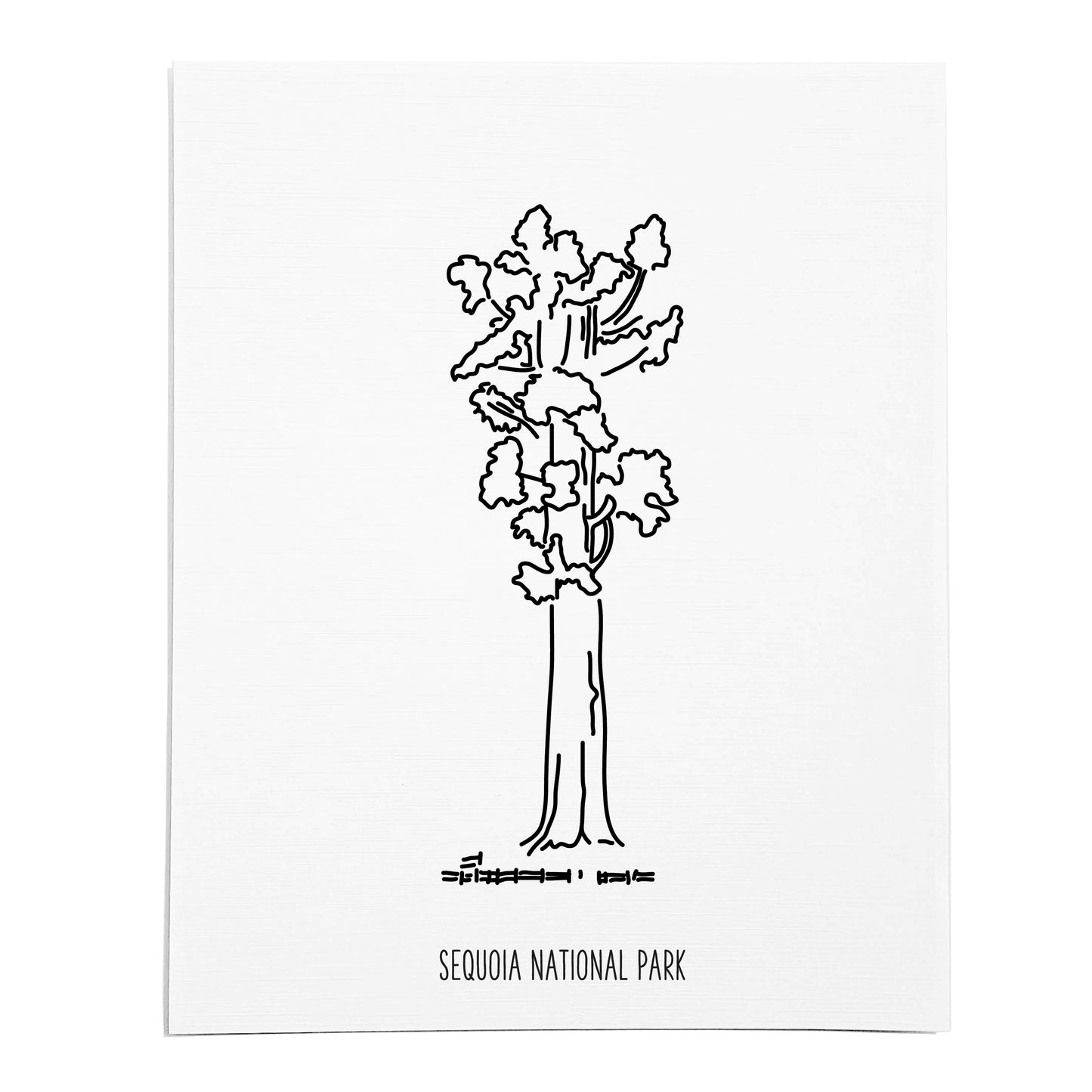 An art print featuring a line drawing of Sequoia National Park on white linen paper