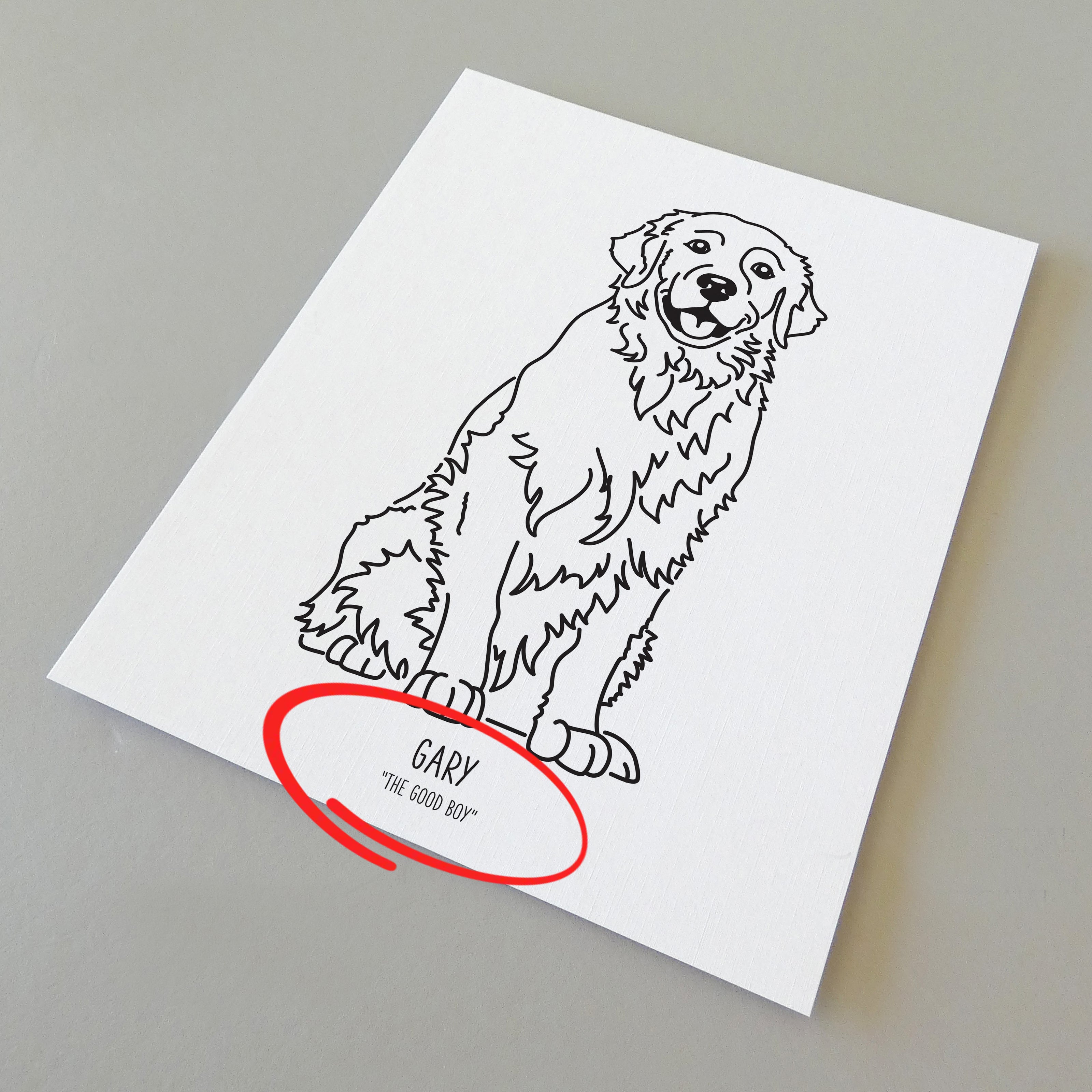 A line drawing of a golden retriever with a custom title