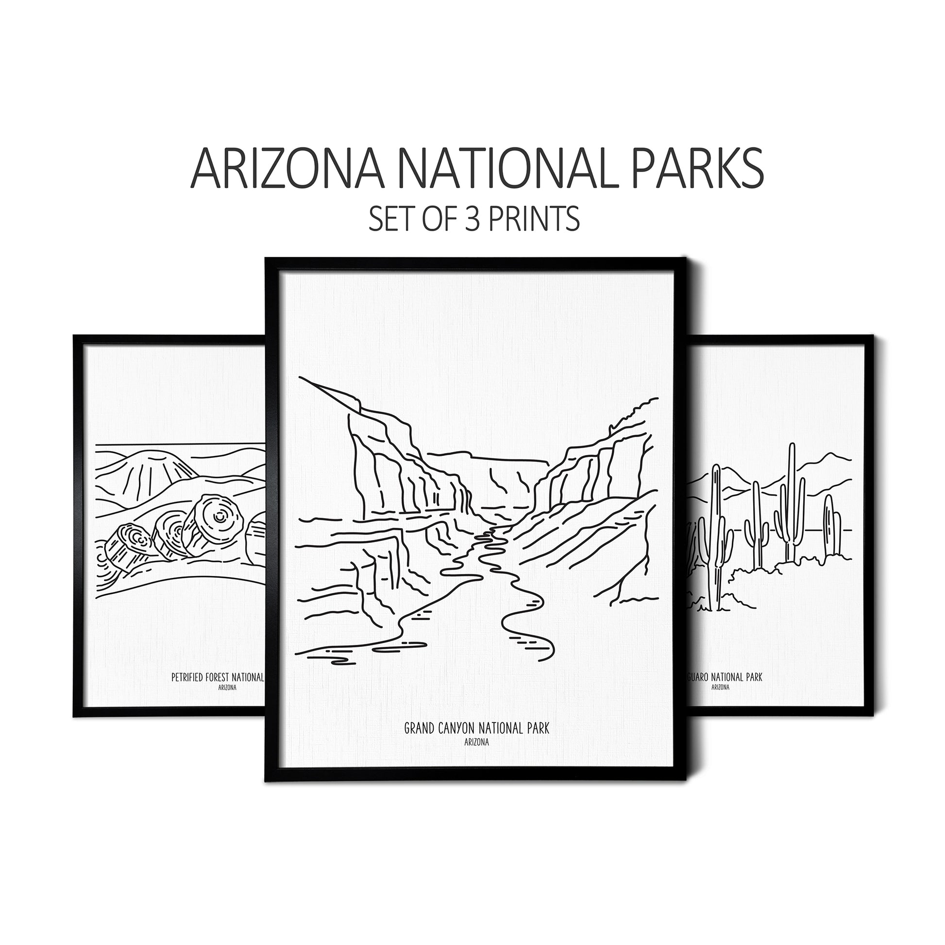 Line art drawings of Grand Canyon National Park, Petrified Forest National Park, and Saguaro National Park on white linen paper in a thin black picture frames