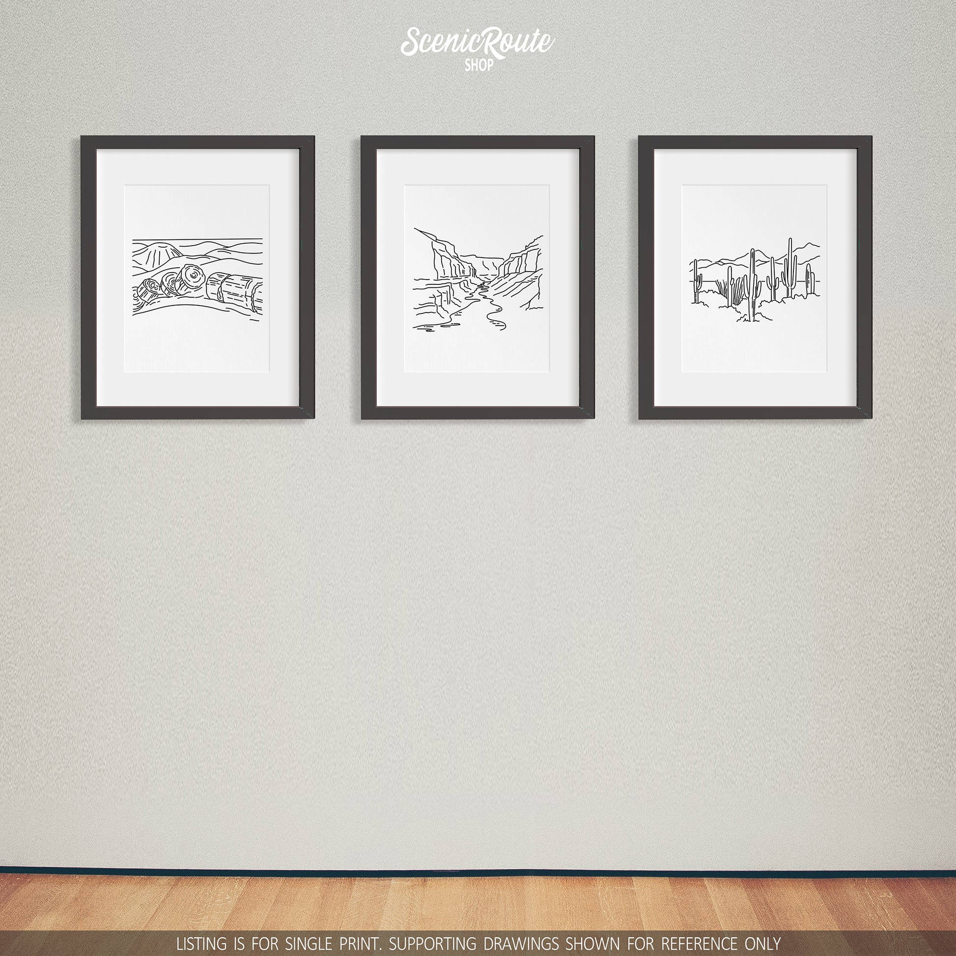A group of three framed drawings on a white wall. The line art drawings include Petrified Forest National Park, Grand Canyon National Park, and Saguaro National Park