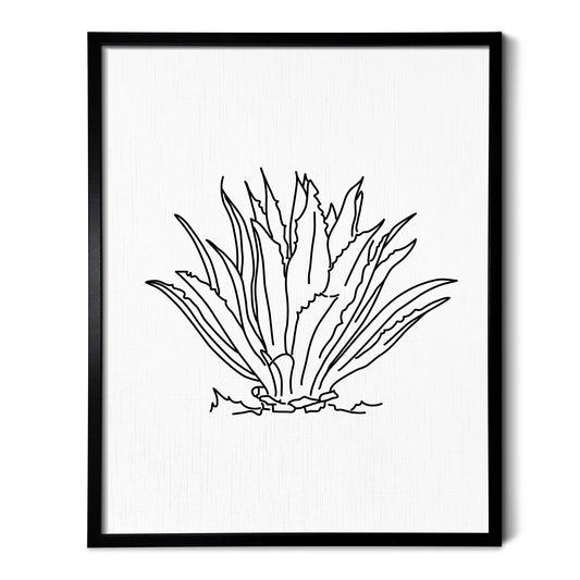 A line art drawing of an Agave Cactus on white linen paper in a thin black picture frame