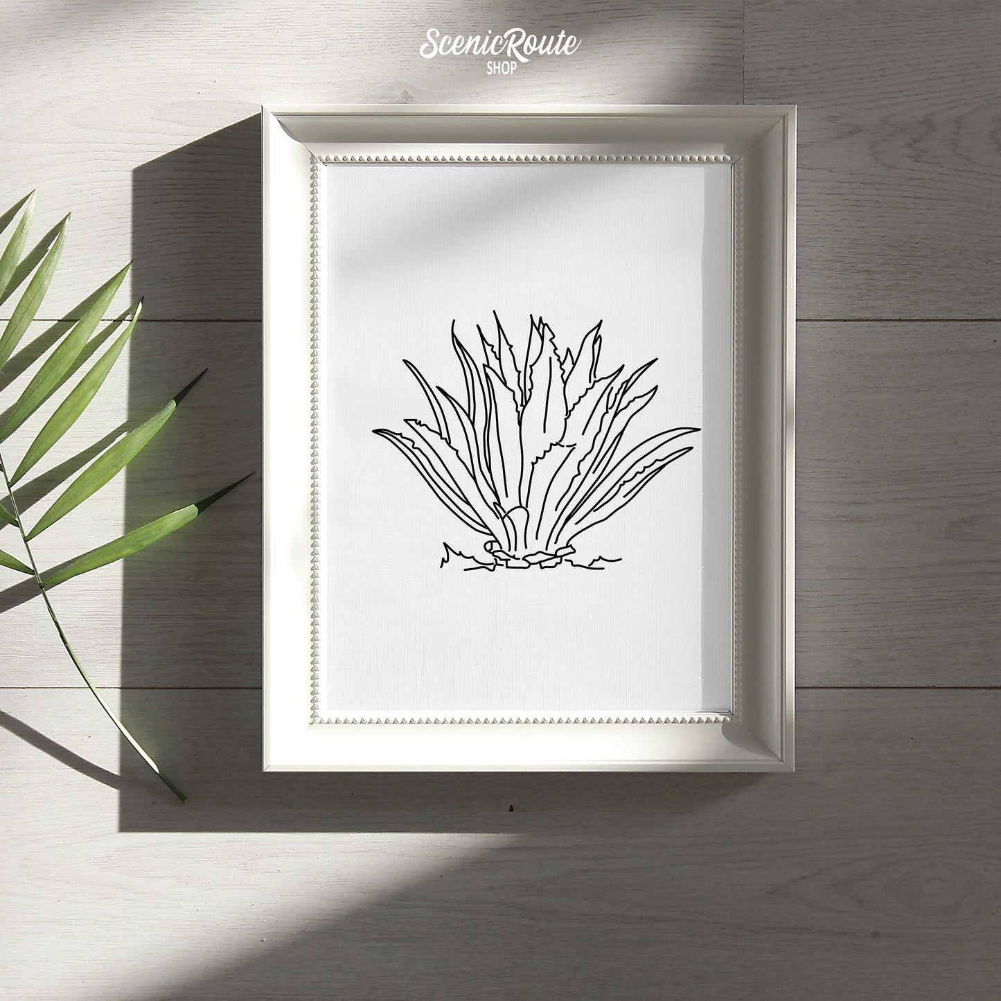 A framed line art drawing of an Agave Cactus on a wood table with palm frond