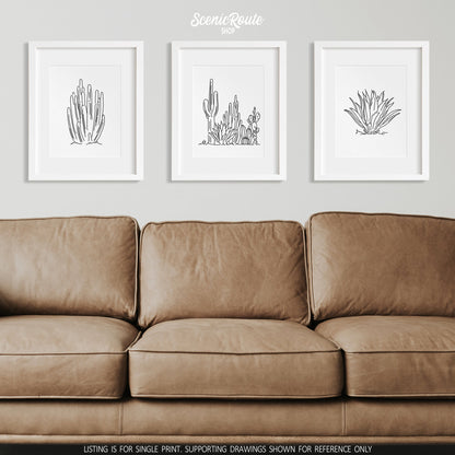 A group of three framed drawings on a wall above a couch. The line art drawings include an Organ Pipe Cactus, Cactus Garden, and Agave Cactus