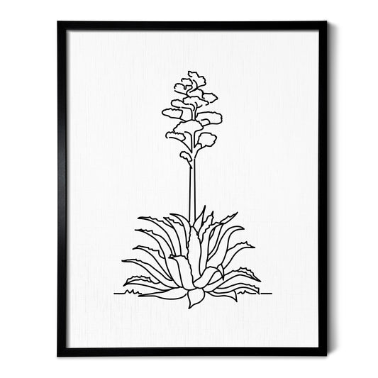 A line art drawing of a Century Plant on white linen paper in a thin black picture frame