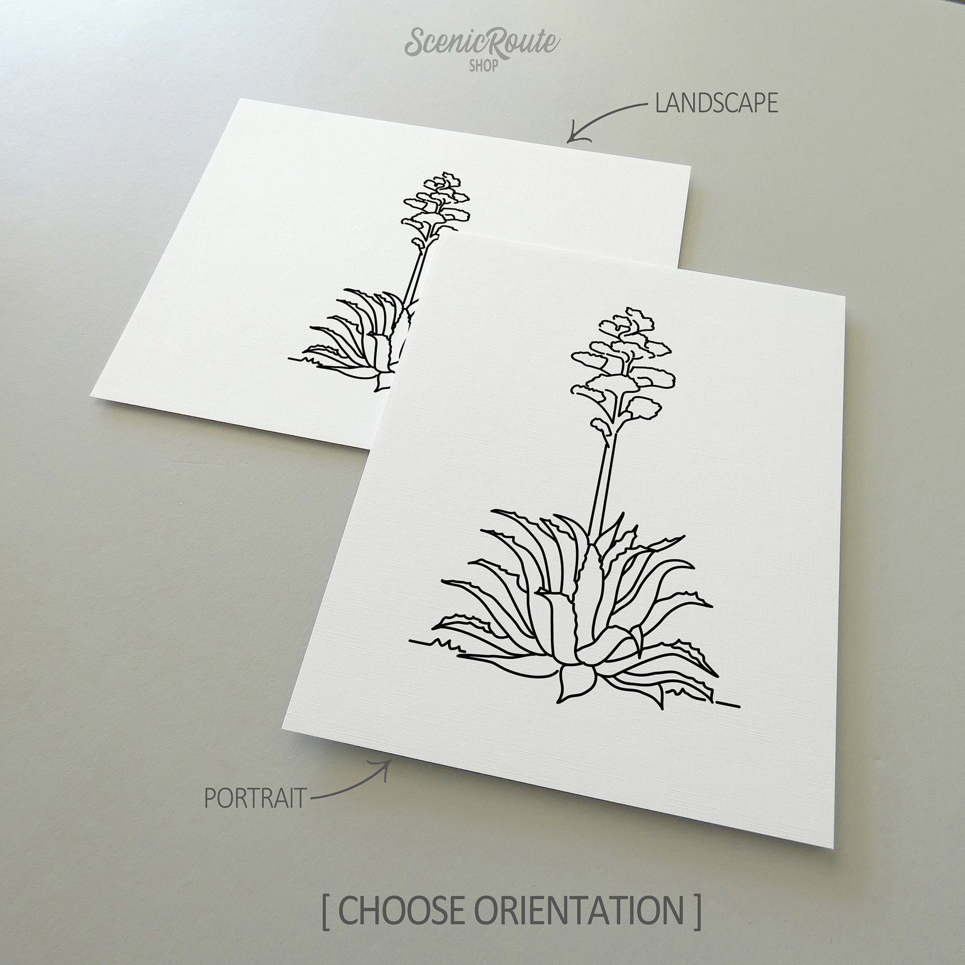 Two line art drawings of a Century Plant on white linen paper with a gray background.  The pieces are shown in portrait and landscape orientation for the available art print options.