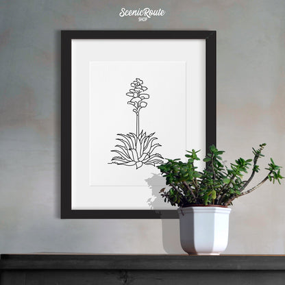 A framed line art drawing of a Century Plant hung above a table with a plant
