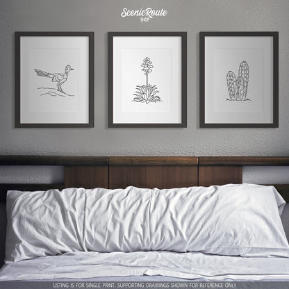 A group of three framed drawings on a white wall above a bed. The line art drawings include a Roadrunner bird, a Century Plant, and a Torch Cactus