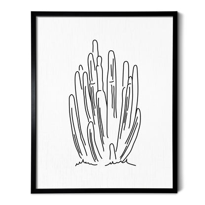 A line art drawing of a Organ Pipe Cactus on white linen paper in a thin black picture frame