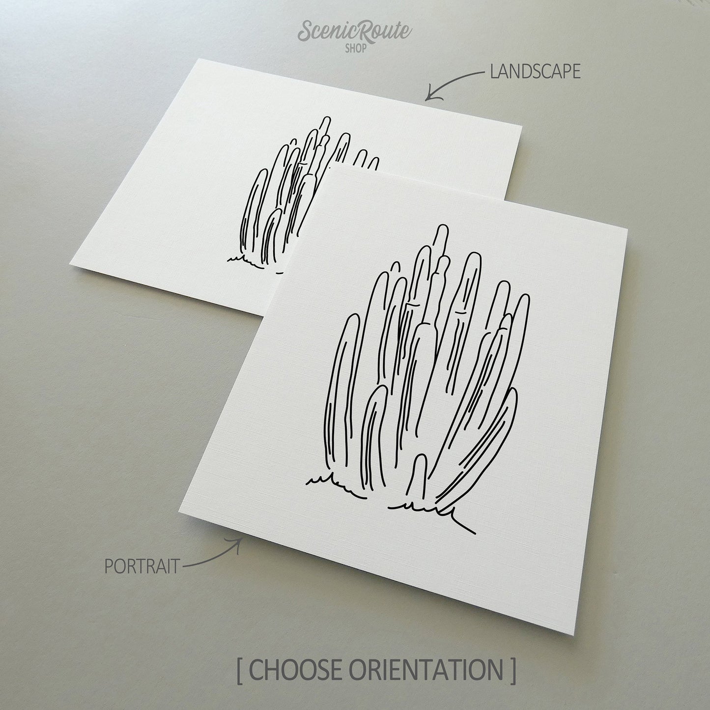 Two line art drawings of a Organ Pipe Cactus on white linen paper with a gray background.  The pieces are shown in portrait and landscape orientation for the available art print options.