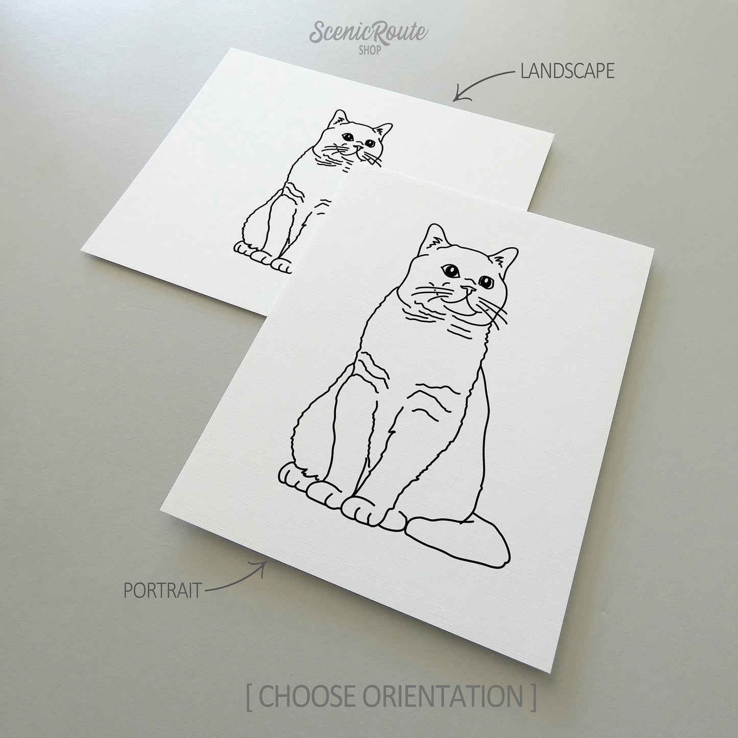 Two line art drawings of a British Shorthair cat on white linen paper with a gray background.  The pieces are shown in portrait and landscape orientation for the available art print options.
