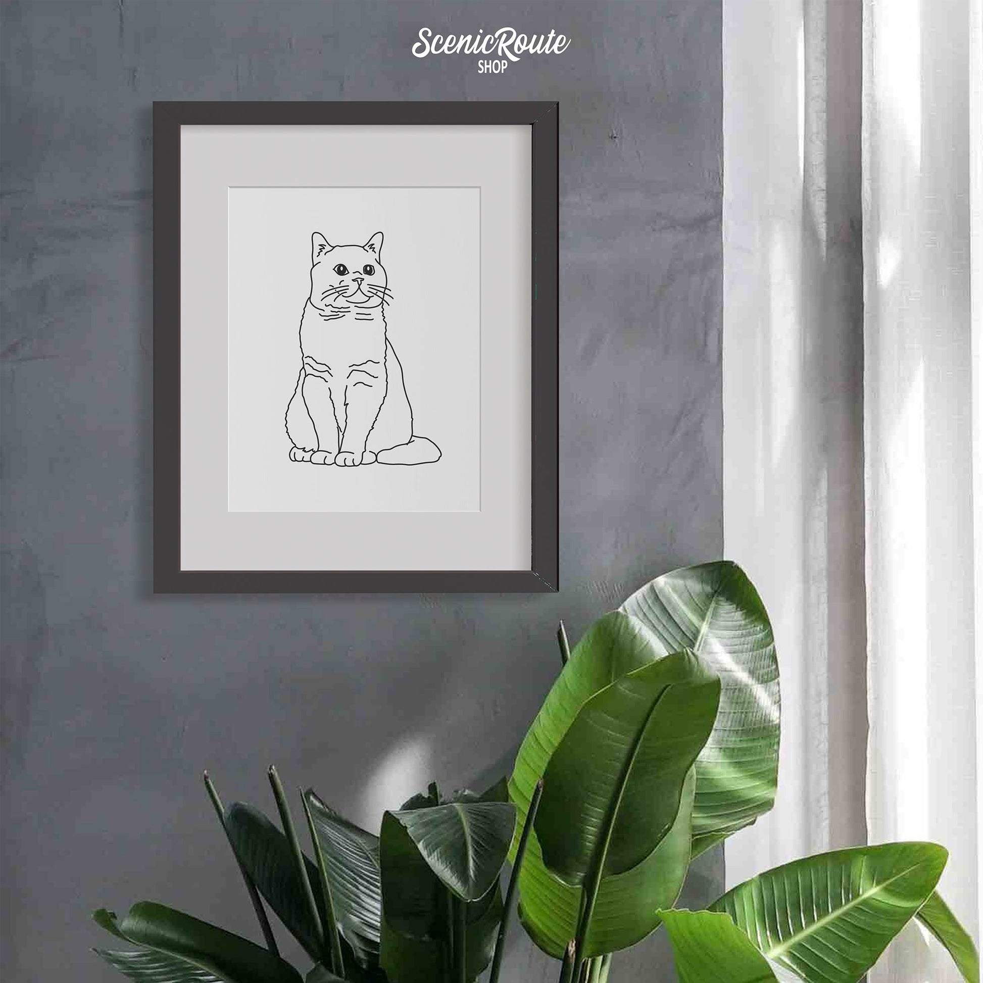 A framed line art drawing of a British Shorthair cat hanging on a gray wall with a plant below