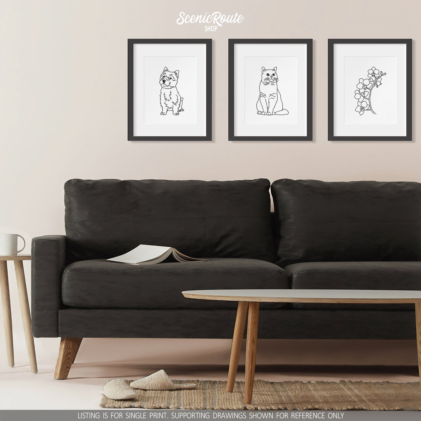 A group of three framed drawings on a white wall above a couch. The line art drawings include a Norwich Terrier dog, a British Shorthair cat, and an Orchid Flower
