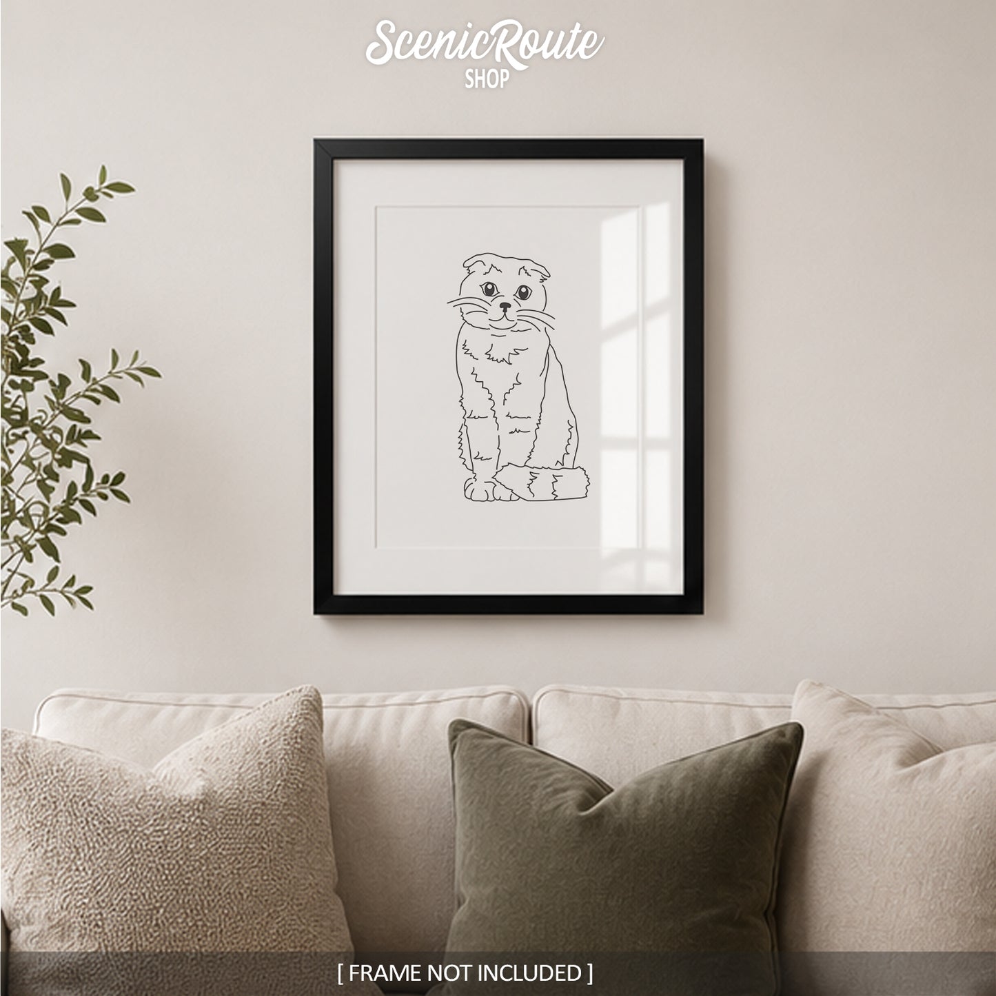 Scottish Fold Cat Art Print