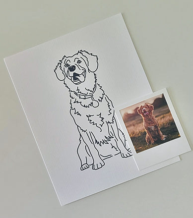 A drawing of a dog with a photo of a dog