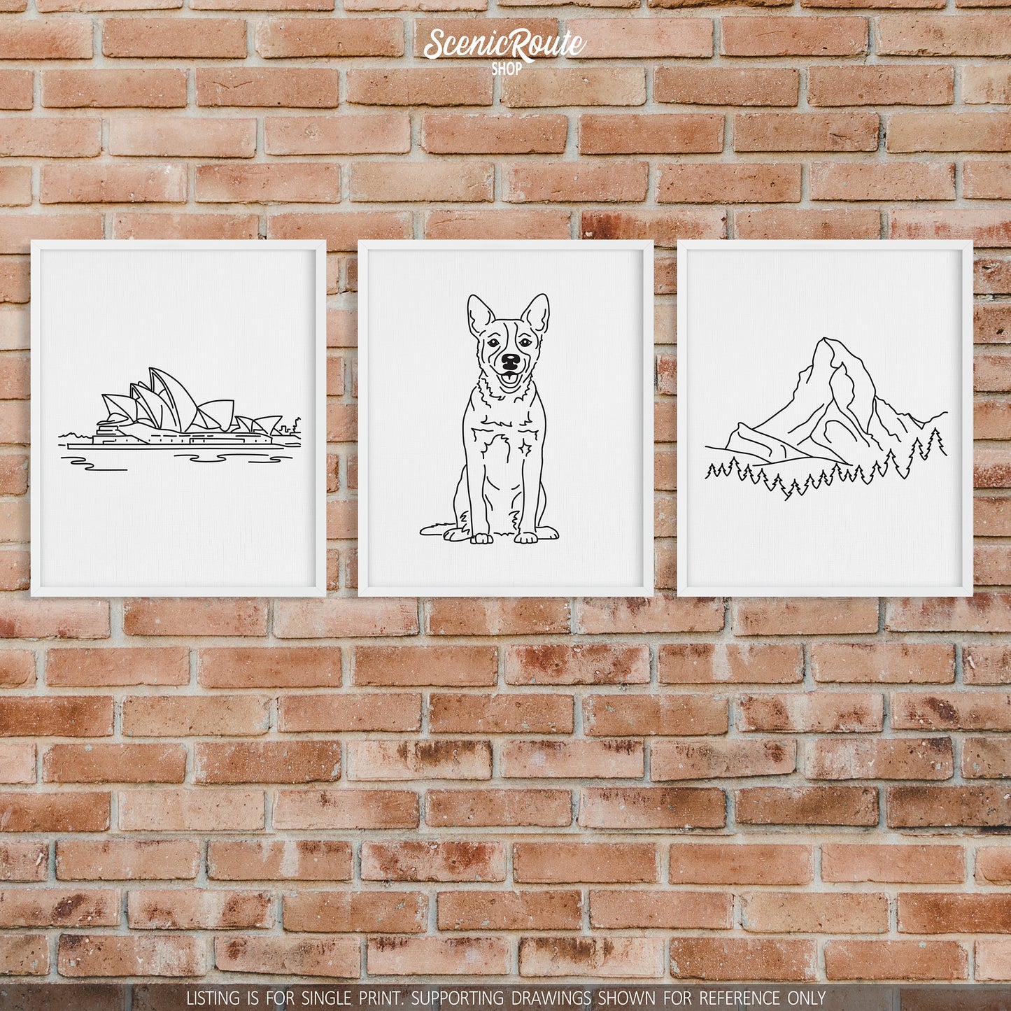Australian Cattle Dog Art Print (Blue Heeler / Red Heeler / Queensland Heeler)