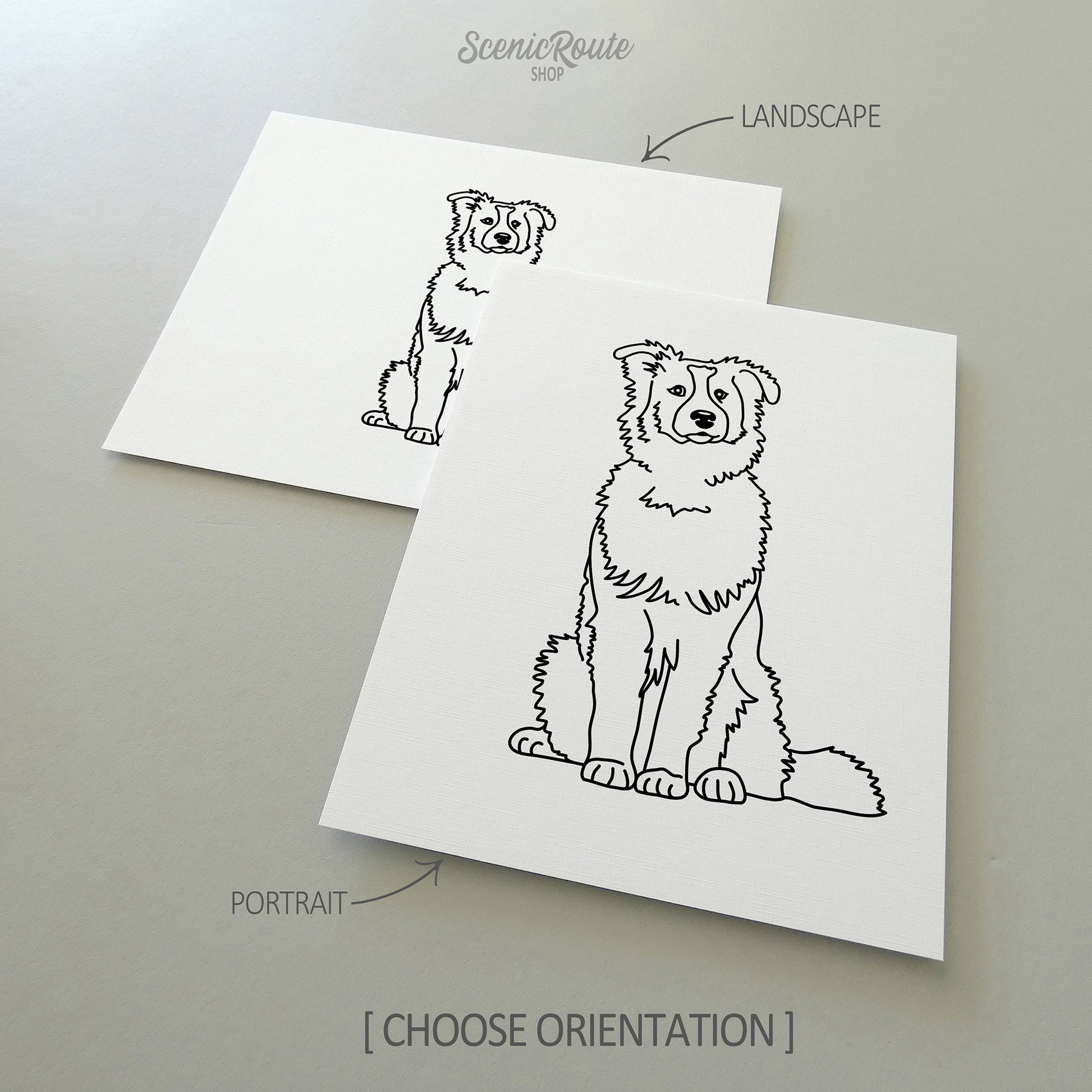 Two drawings of an Australian Shepherd dog on white linen paper with a gray background.  Pieces are shown in portrait and landscape orientation options to illustrate the available art print options.