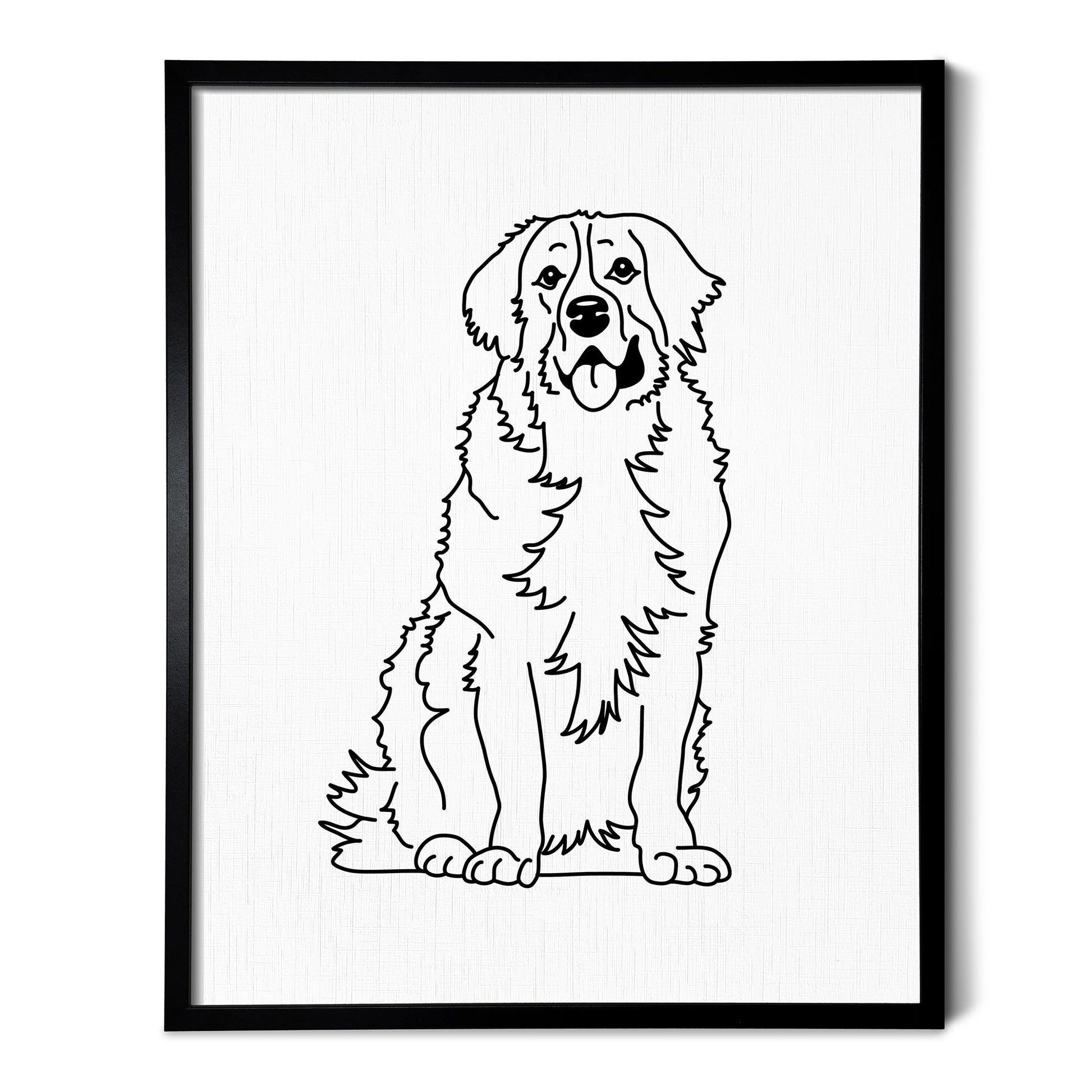A drawing of a Bernese Mountain Dog on white linen paper in a thin black picture frame