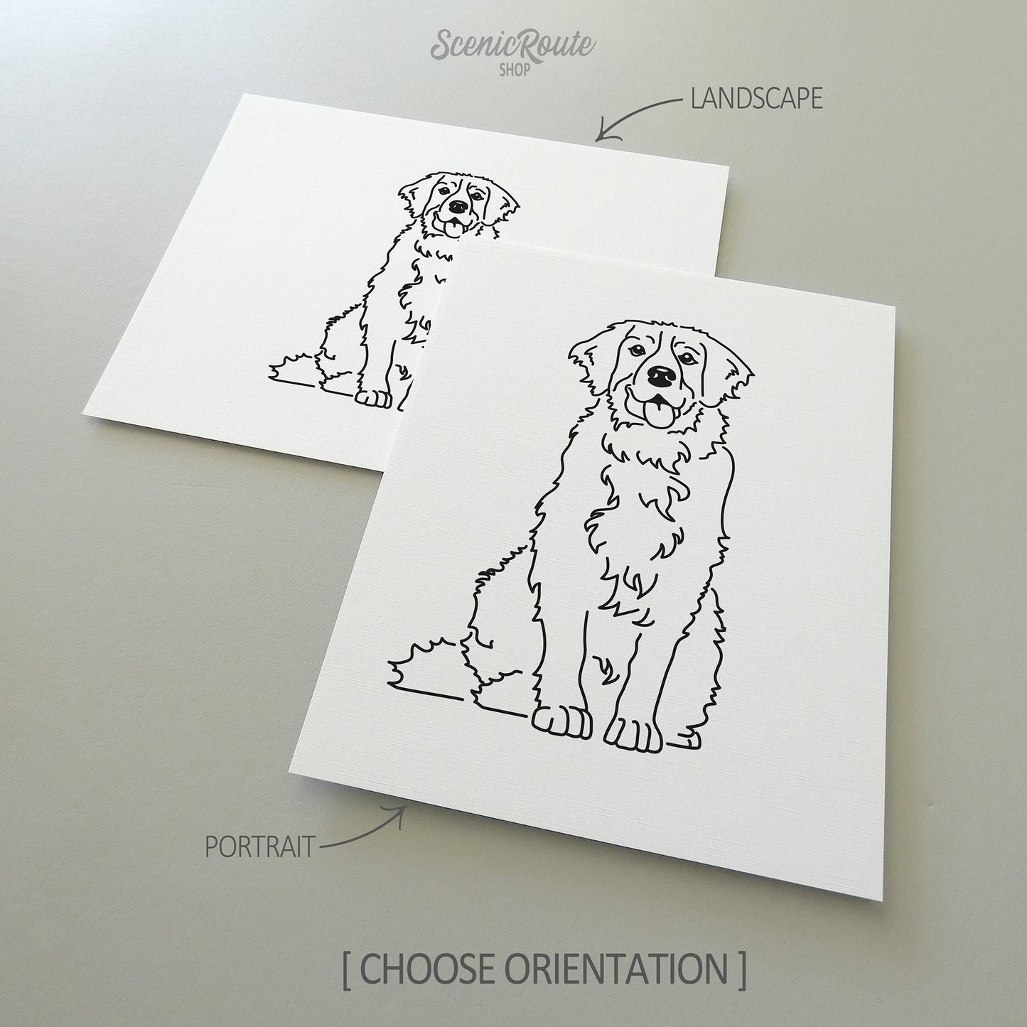 Bernese Mountain Dog Art Print