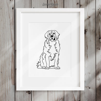 A framed print of a line art drawing of a Bernese Mountain Dog on a wood wall