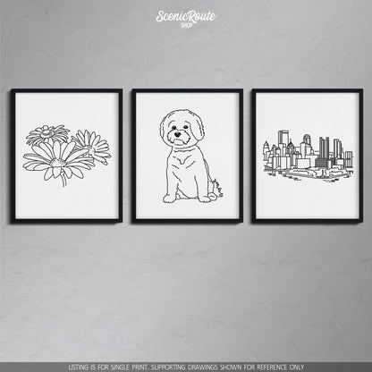 A group of three framed drawings on a gray wall. The line art drawings include daisies, a Bichon Frise dog, and the Pittsburgh Skyline