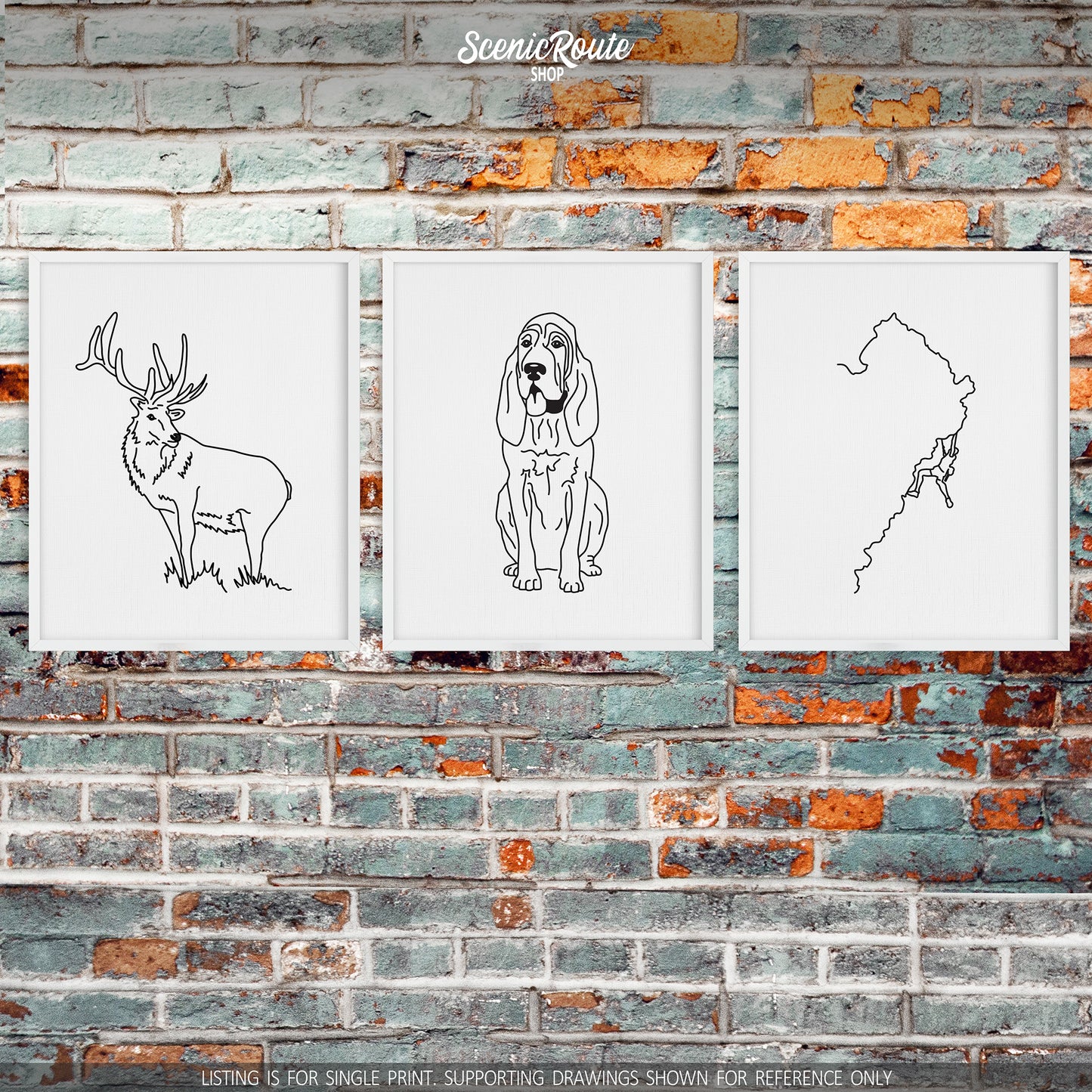 Bloodhound Art Print