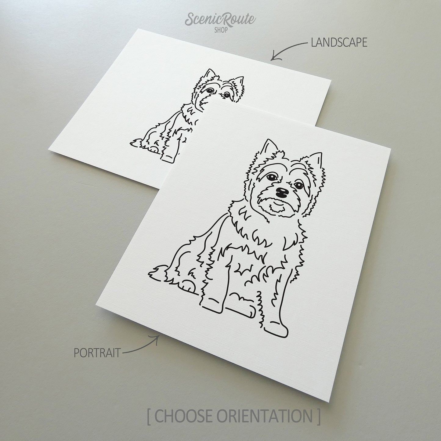 Cairn Terrier