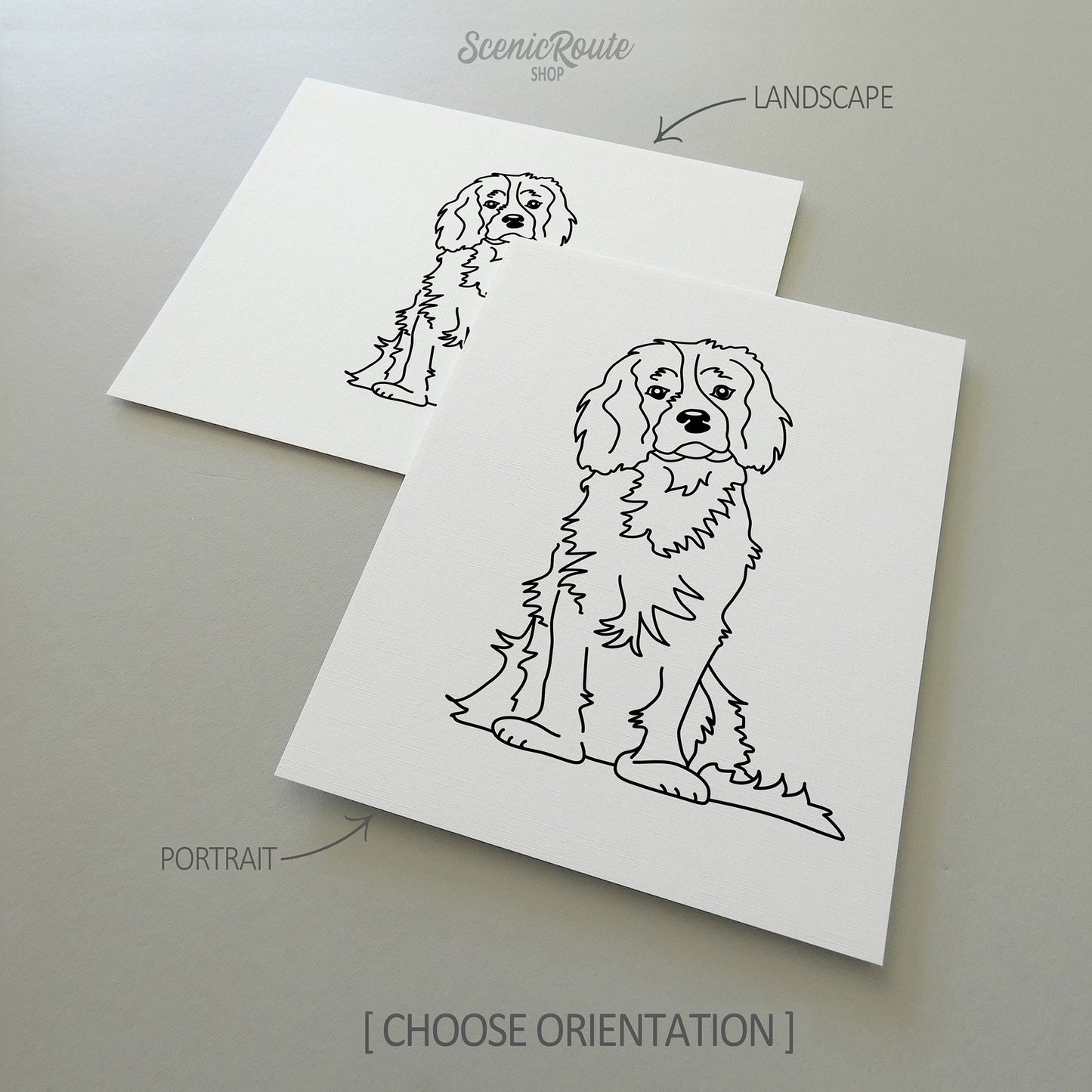 Two drawings of a Cavalier King Charles Spaniel dog on white linen paper with a gray background.  Pieces are shown in portrait and landscape orientation options to illustrate the available art print options.
