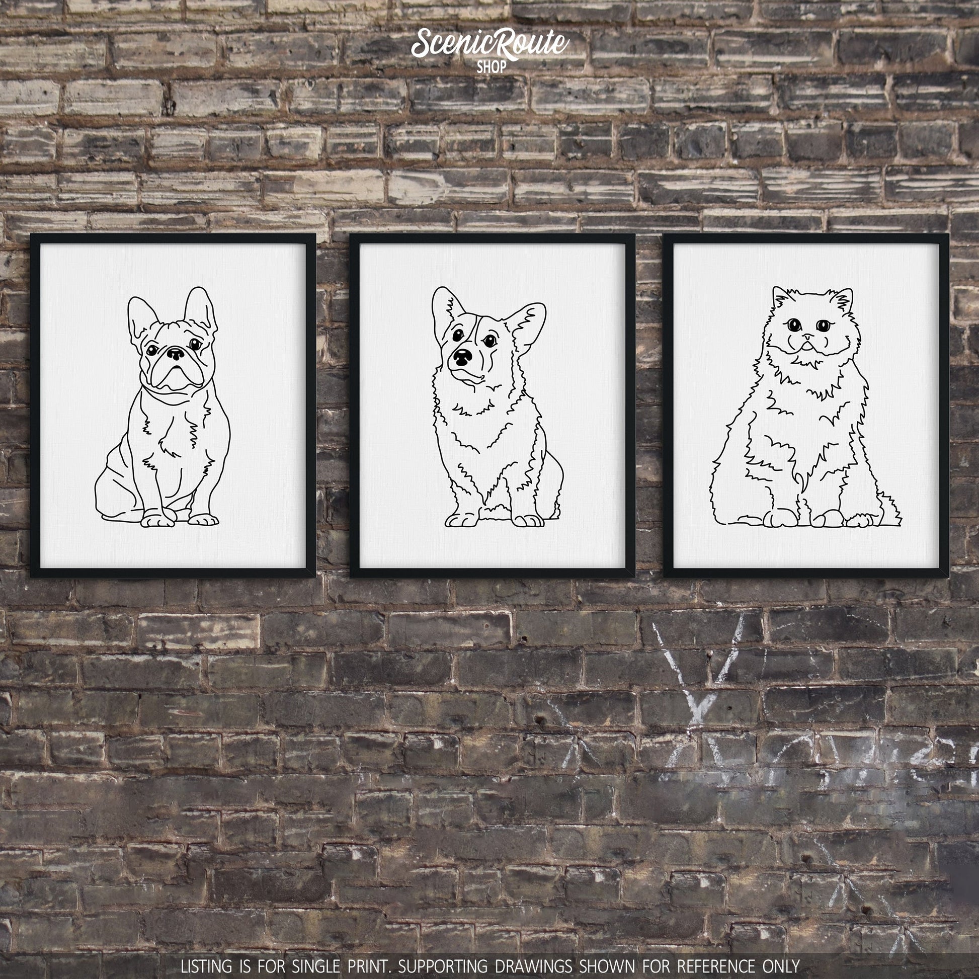 A group of three framed drawings on a brick wall.  The line art drawings include a French Bulldog, a Corgi dog, and Persian cat