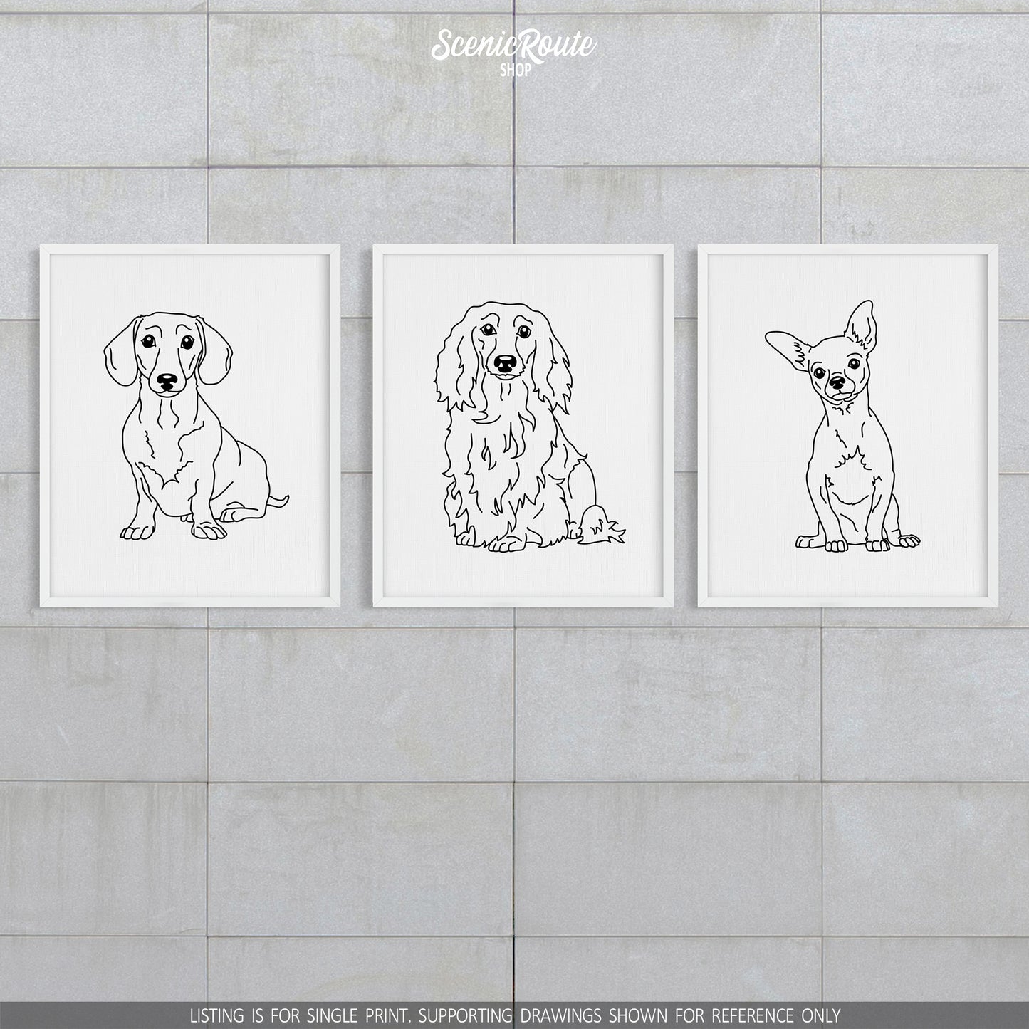 Dachshund (Long Haired) Art Print