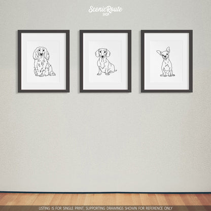 A group of three framed drawings on a white wall. The line art drawings include a Long Haired Dachshund dog, a Dachshund dog, and a Chihuahua dog