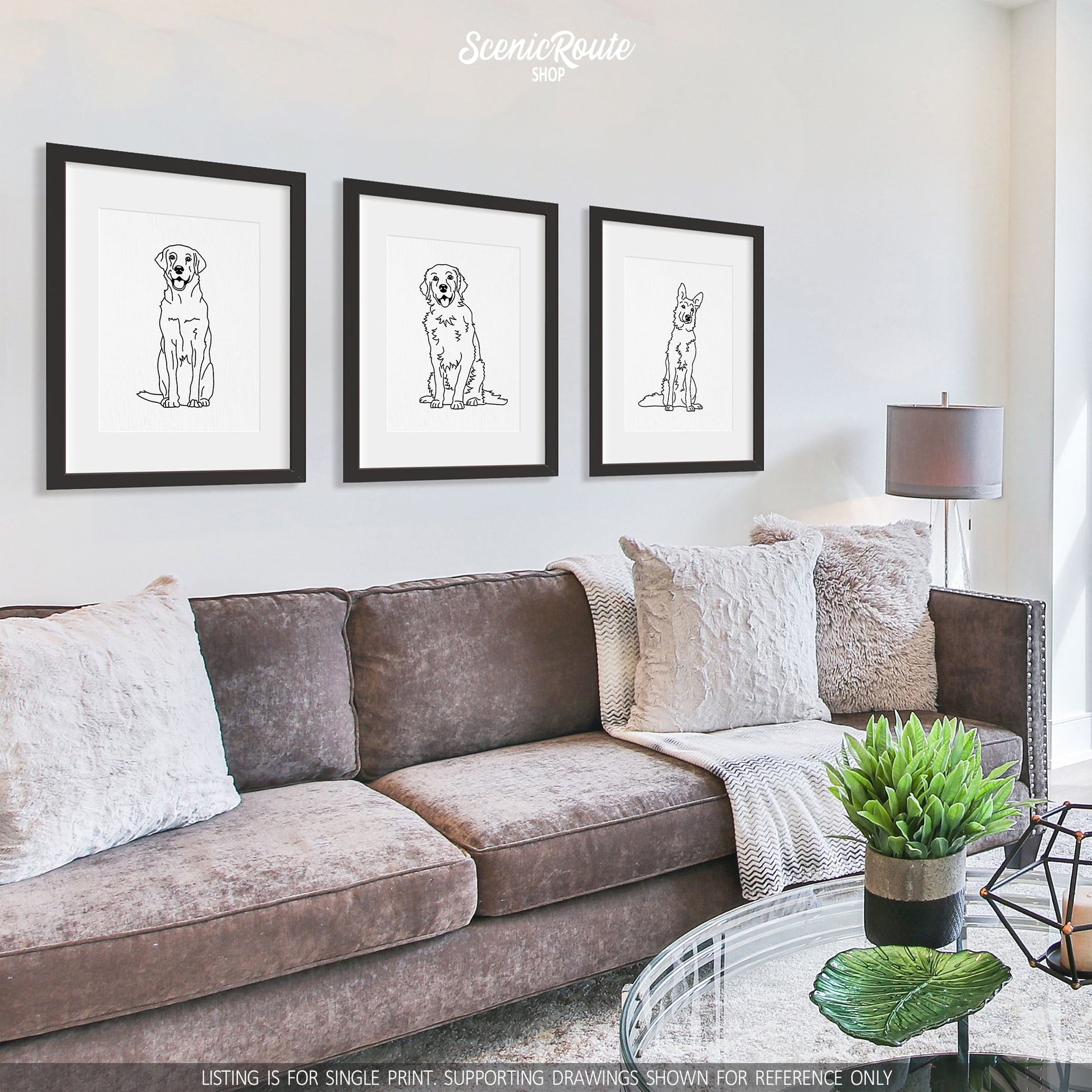 A group of three framed drawings on a white wall above a couch with pillows. The line art drawings include a Labrador dog, a Golden Retriever dog, and a German Shepherd dog