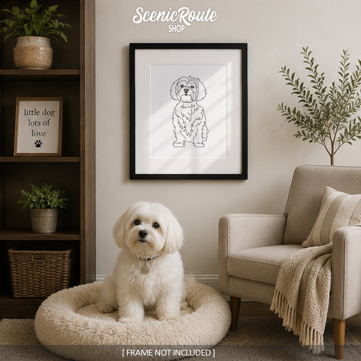 Maltese Art Print