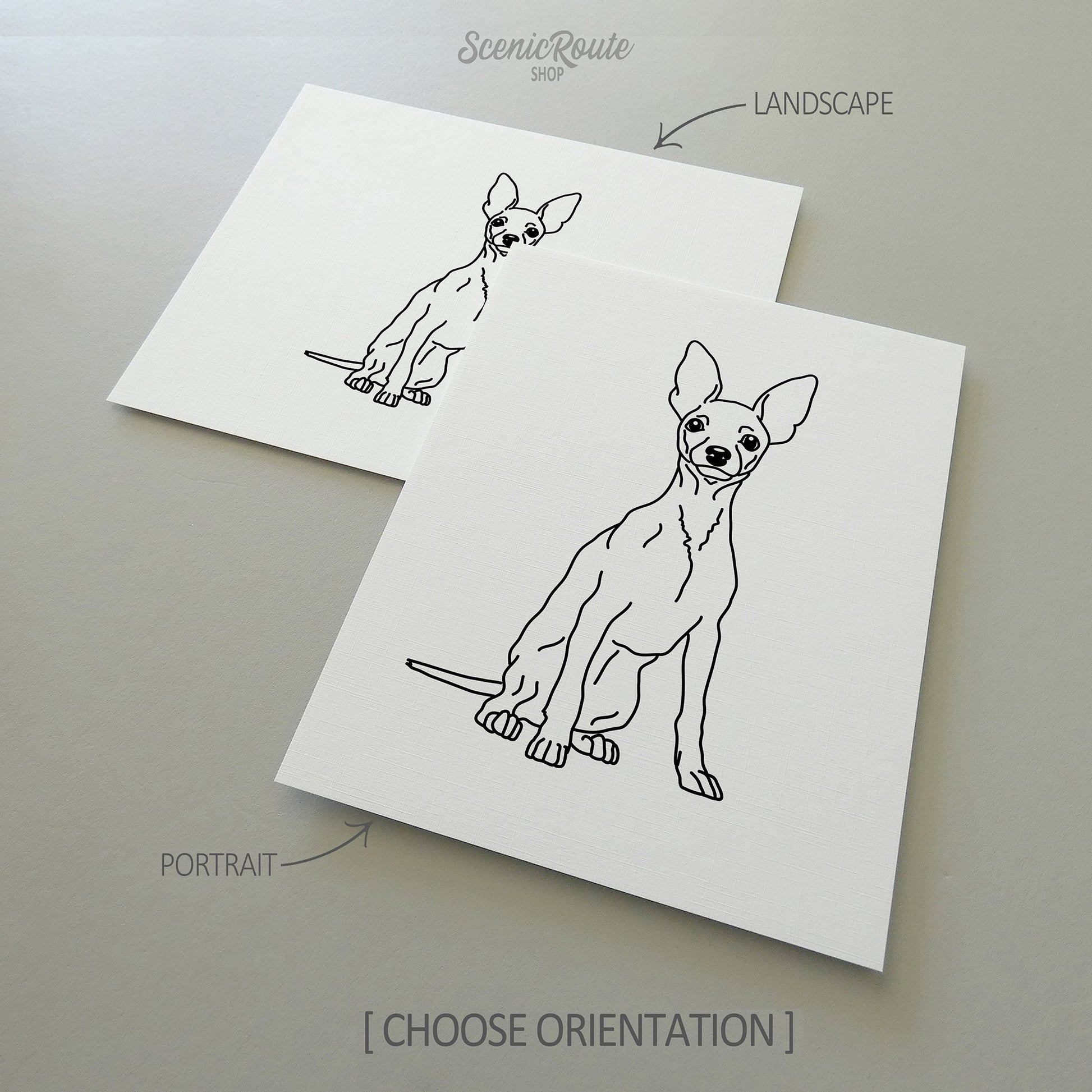 Two line art drawings of a Miniature Pinscher dog on white linen paper with a gray background.  The pieces are shown in portrait and landscape orientation for the available art print options.