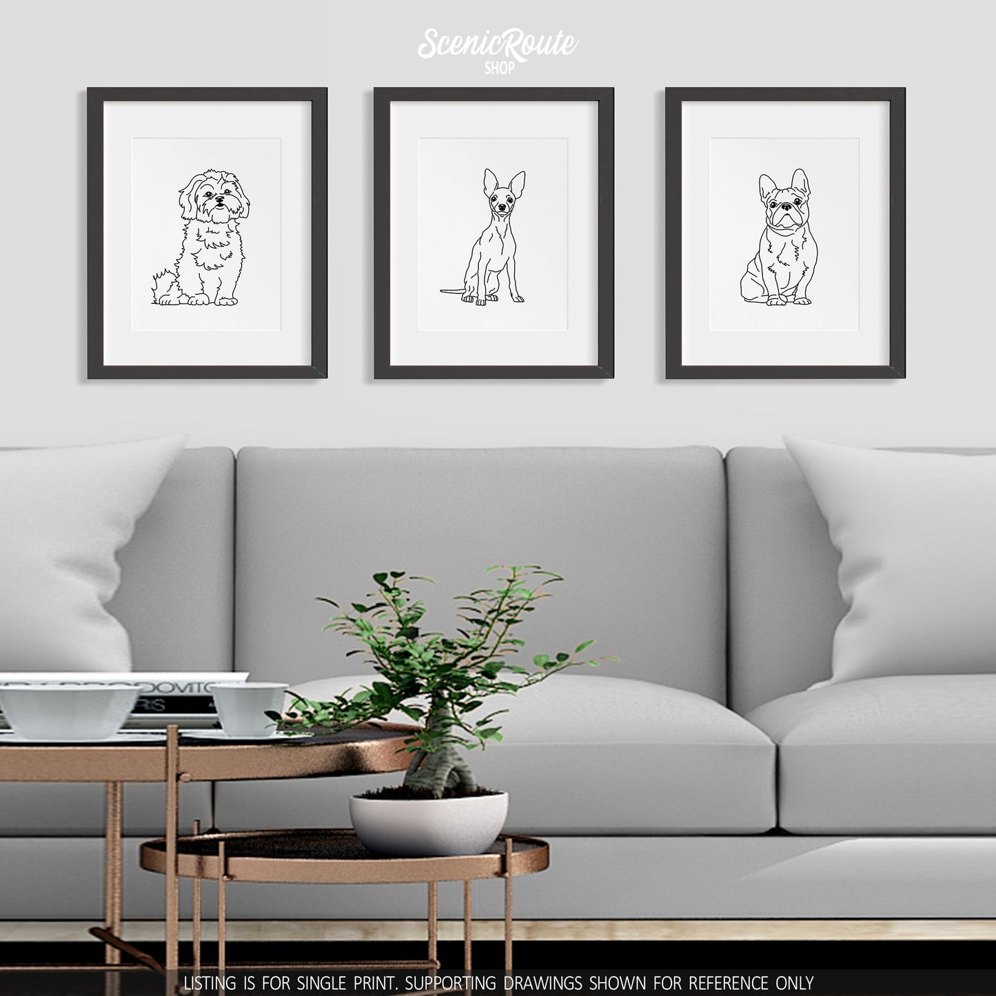 A group of three framed drawings on a white wall above a couch with a coffee table and plant. The line art drawings include a Shih Tzu dog, a Miniature Pinscher dog, and a French Bulldog