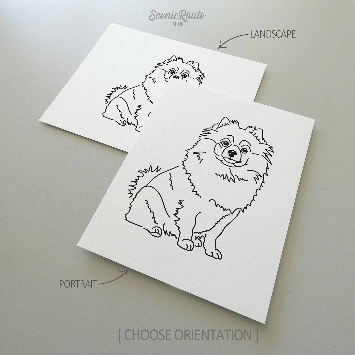 Pomeranian Art Print