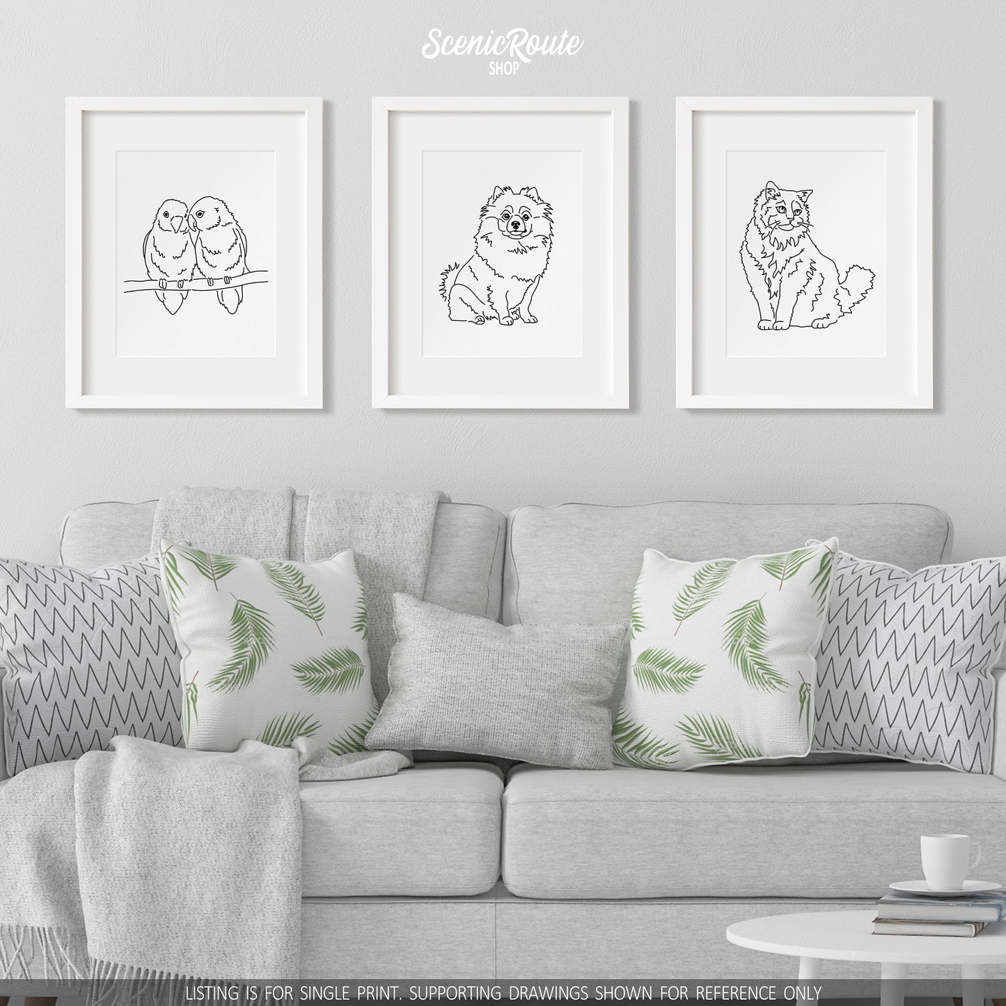 Pomeranian Art Print