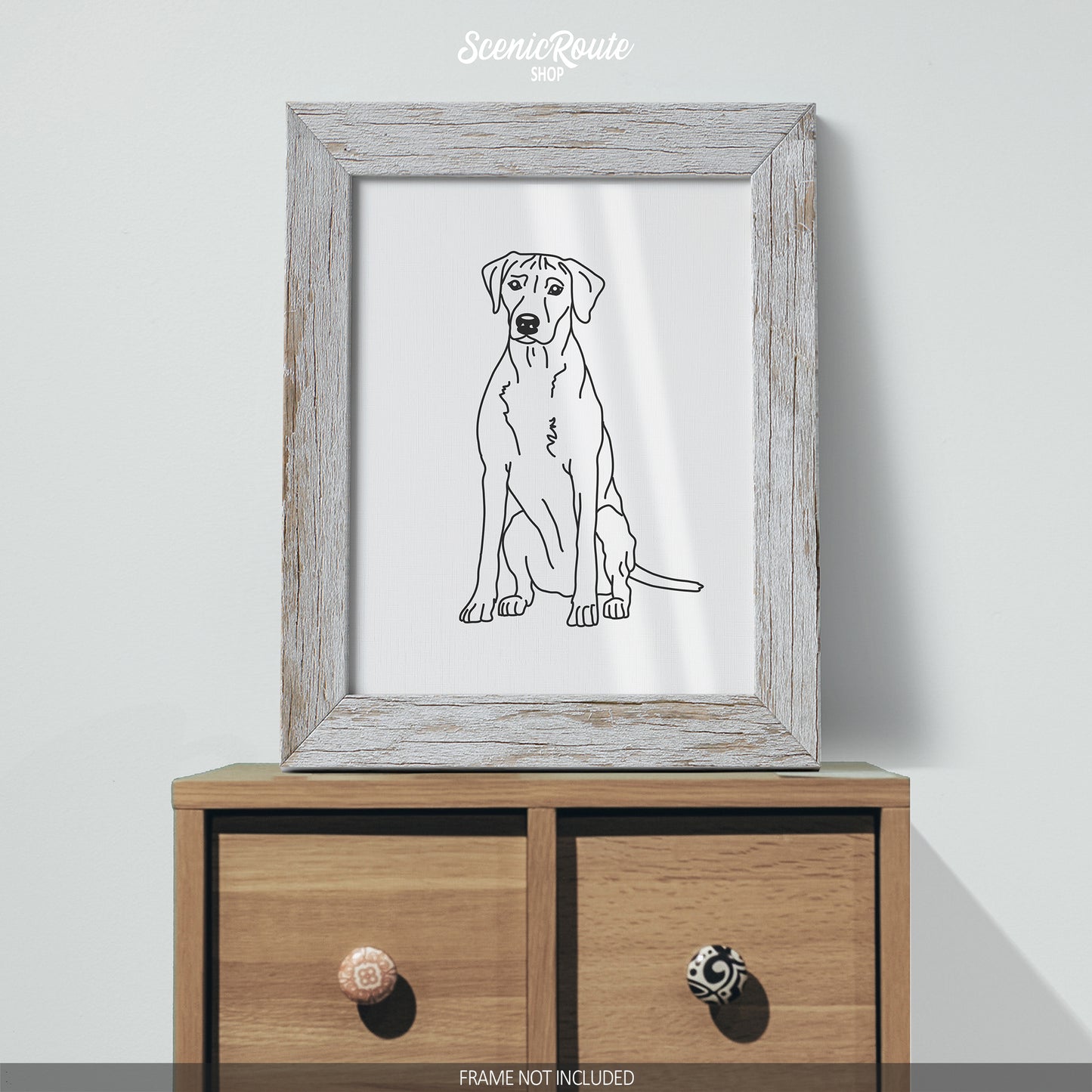 Rhodesian Ridgeback Art Print