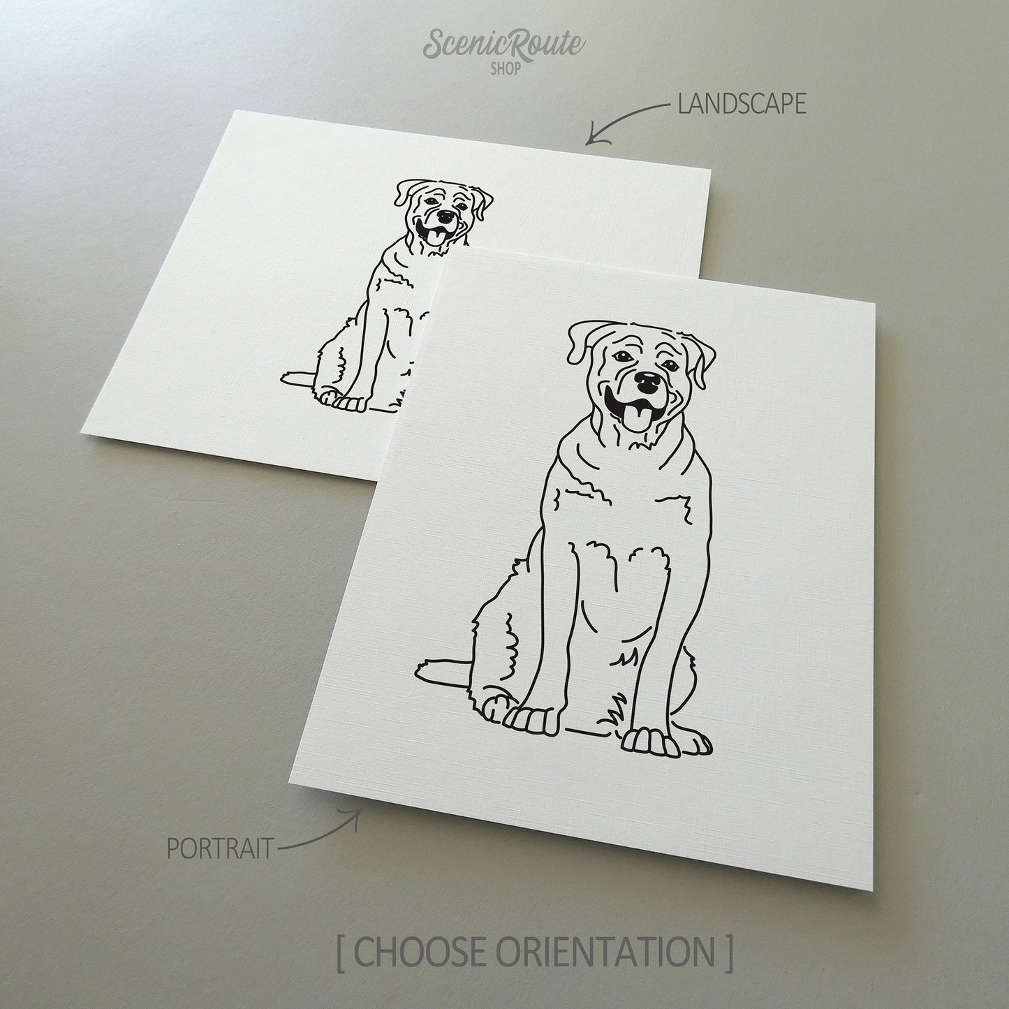 Rottweiler Art Print