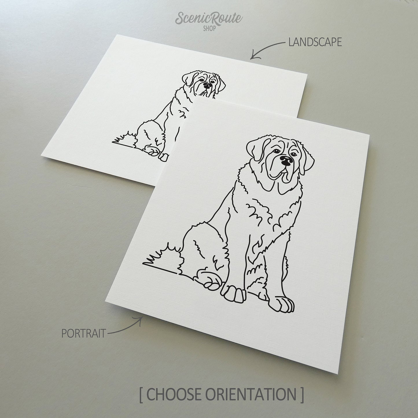 Saint Bernard Art Print