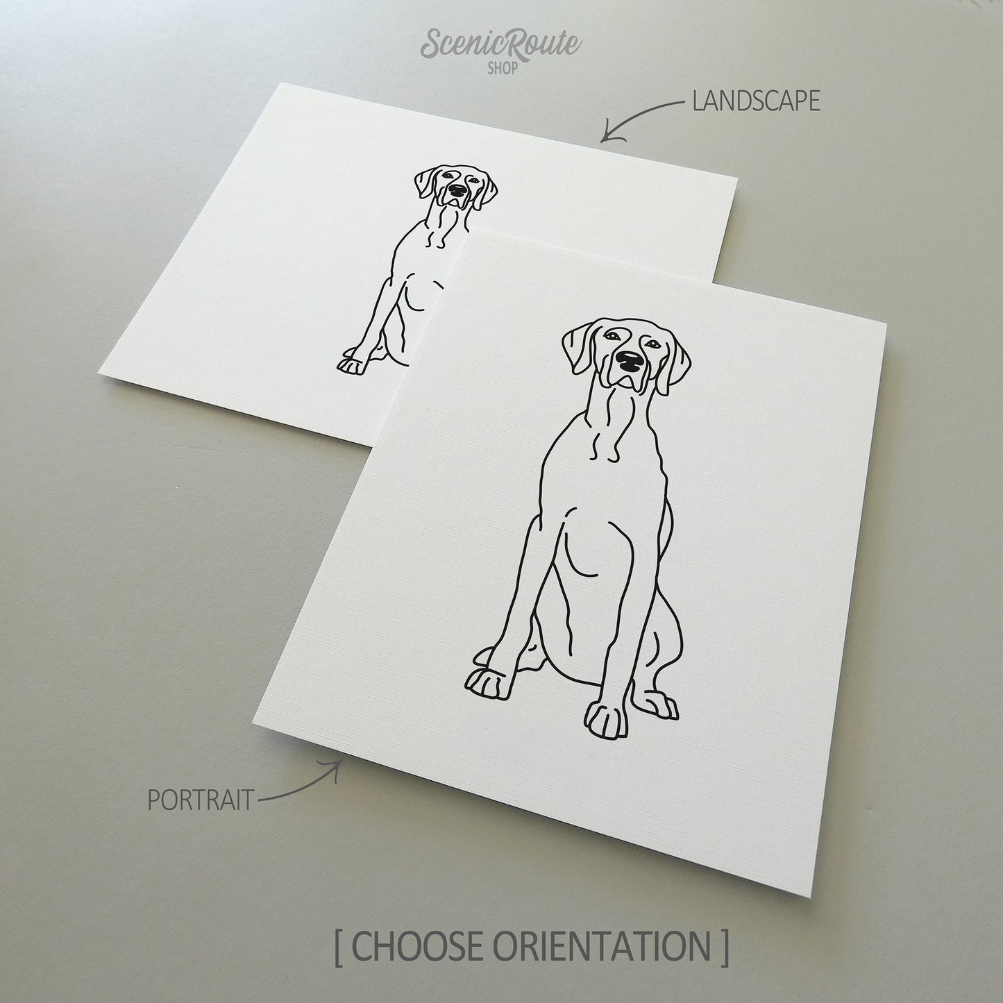 Weimaraner Art Print