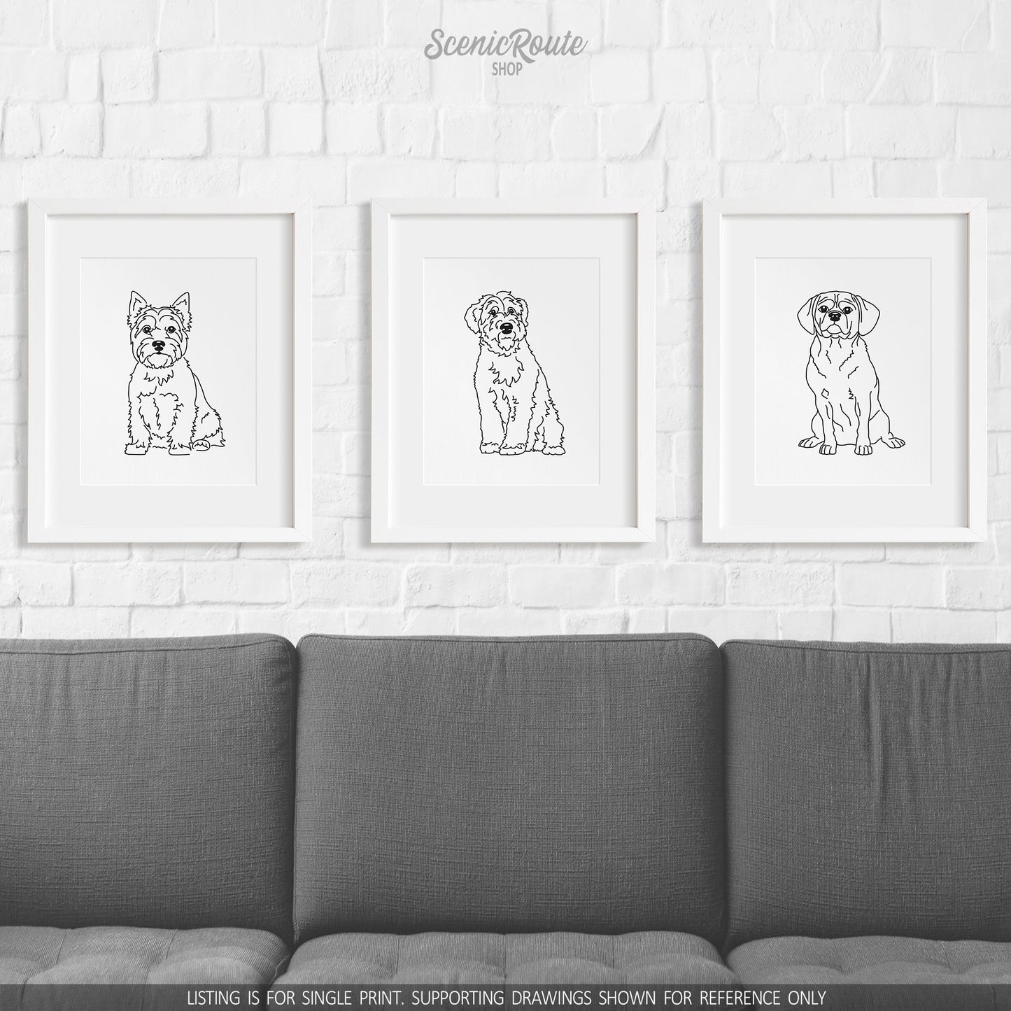 Wheaten Terrier Art Print