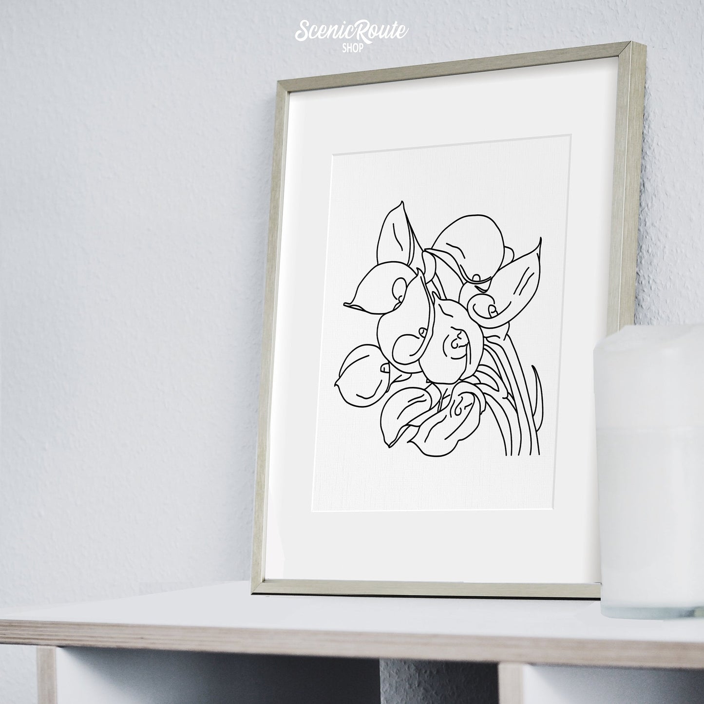 A framed line art drawing of a Calla Lily Flower on a bookshelf