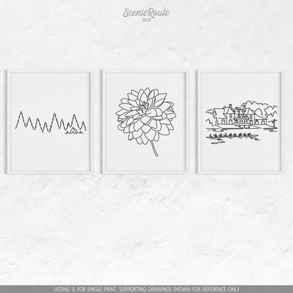 A group of three framed drawings on a white wall. The line art drawings include Camping, Dahlia Flower, and Harvard Boathouse
