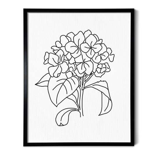 A line art drawing of a Hydrangea Flower on white linen paper in a thin black picture frame