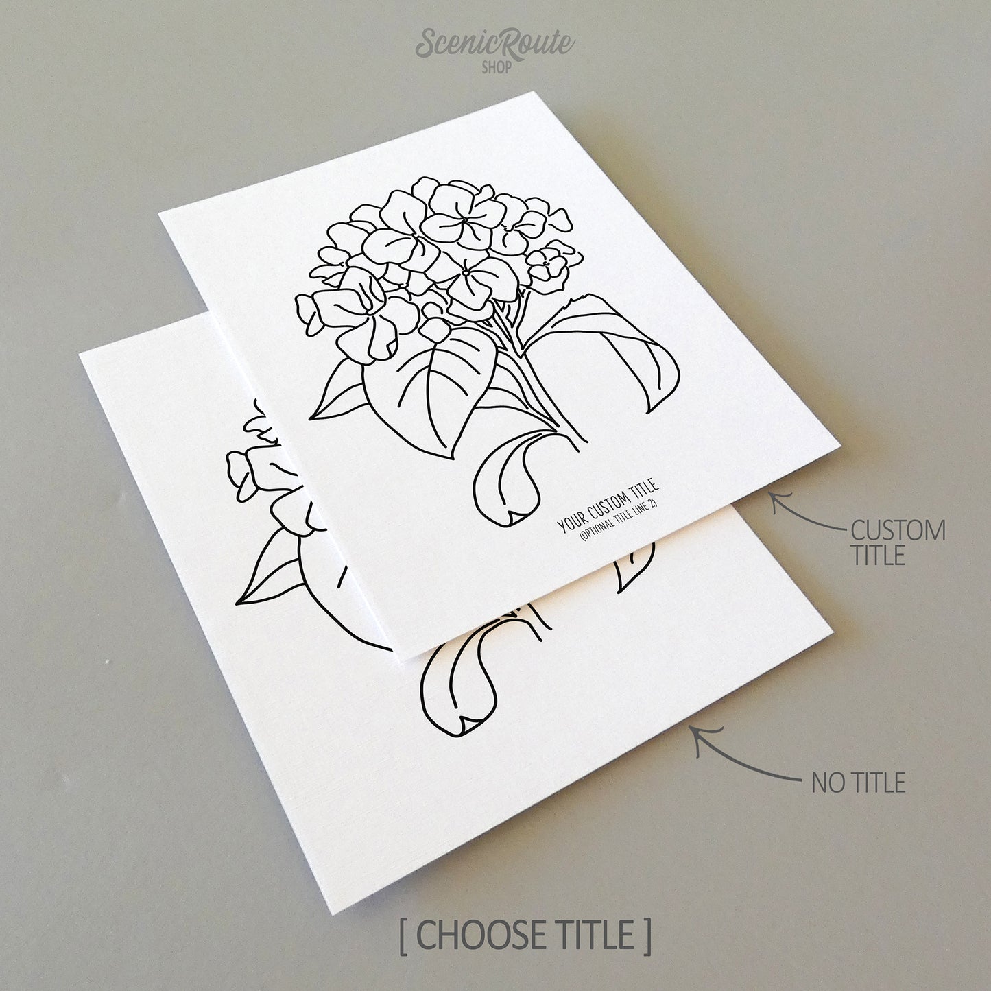 Two line art drawings of a Hydrangea Flower on white linen paper with a gray background.  The pieces are shown with “No Title” and “Custom Title” options for the available art print options.