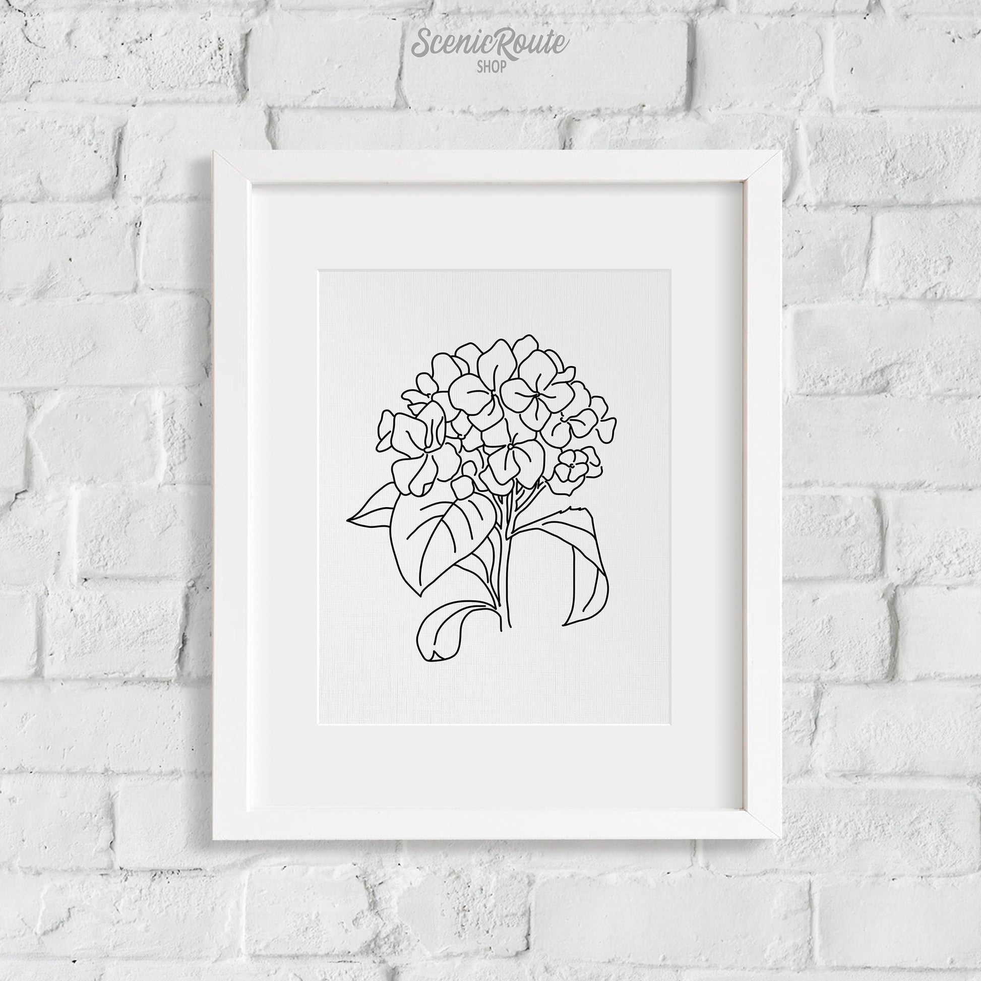 A framed line art drawing of a Hydrangea Flower on a brick wall